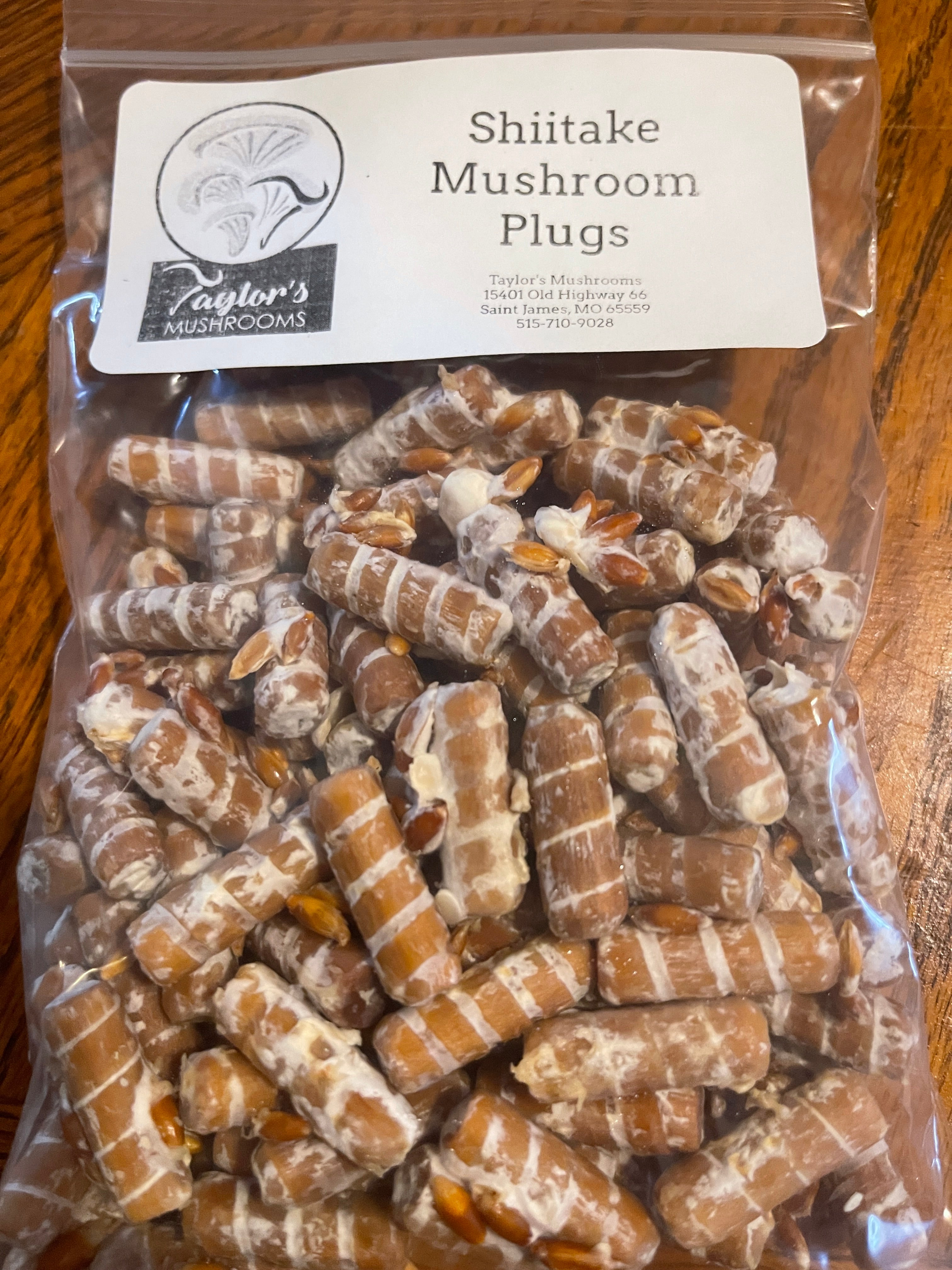 Plug spawn – Taylor’s Mushrooms